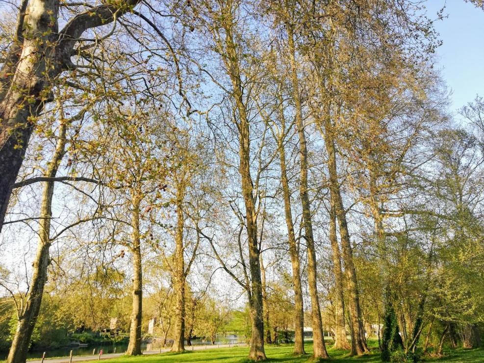 Le Domaine Des Platanes