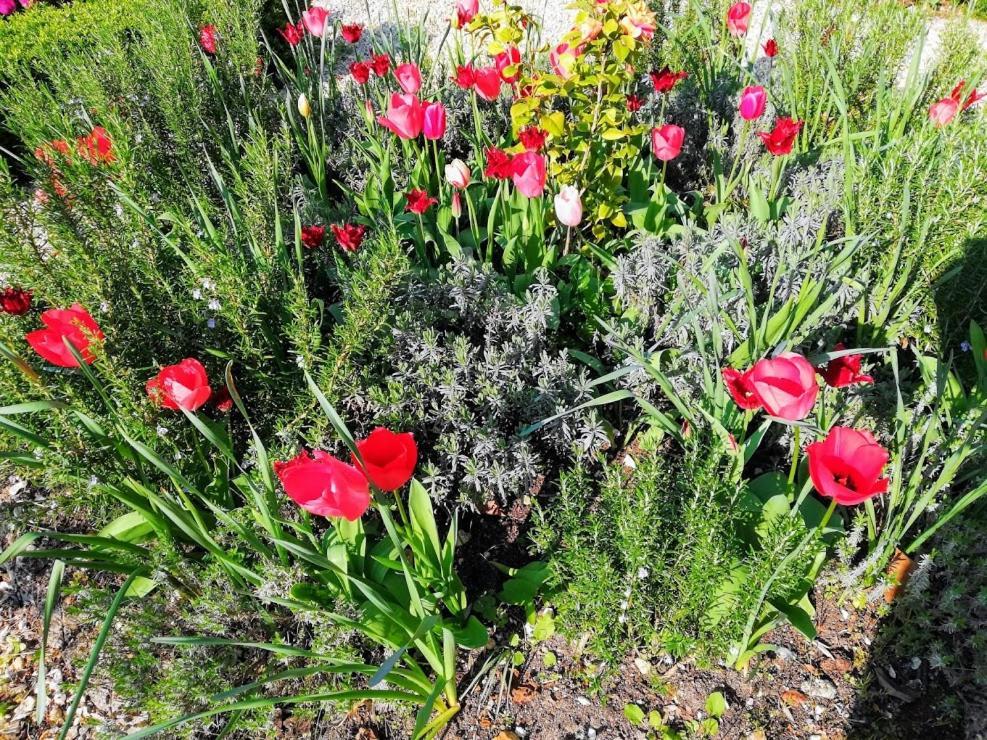 Bed & Breakfast Le Domaine Des Platanes
