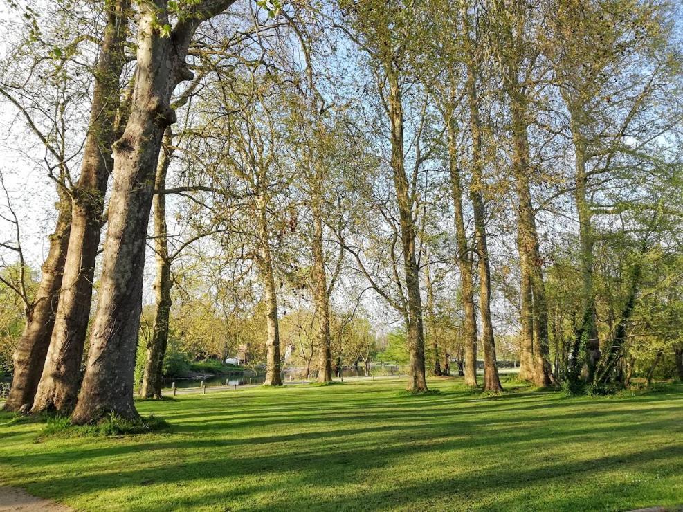 Bed & Breakfast Le Domaine Des Platanes *