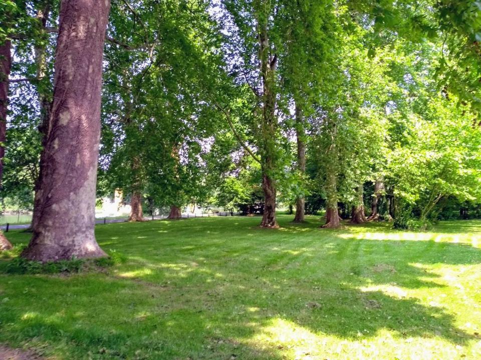 Le Domaine Des Platanes Bourg-Charente