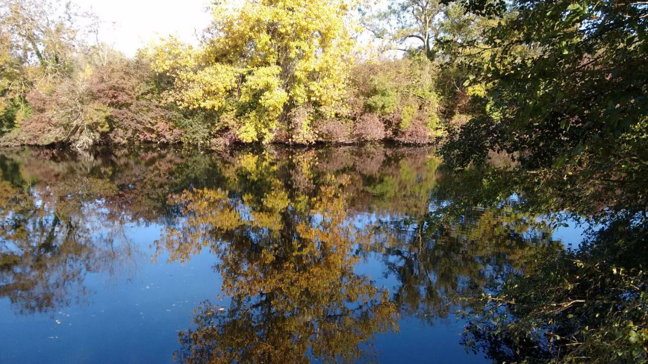 Le Domaine Des Platanes Bourg-Charente